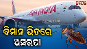 Air India