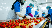  food processing industries