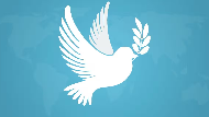 International Peace Day 