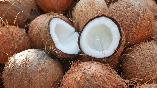 coconut 