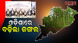 Odisha forest 