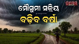 rain