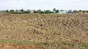 farming land destroyed