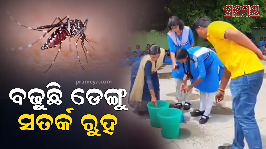 dengu