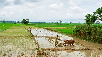 farmers