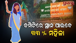 BJP Committee