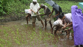 farming