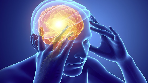 brain