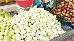 lichi jamrol