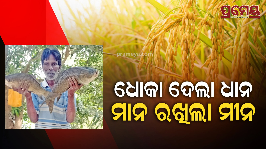 fish farmer