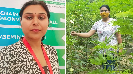 kamini