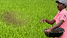 natural farming