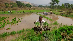 farmer