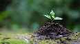 Nature conservation