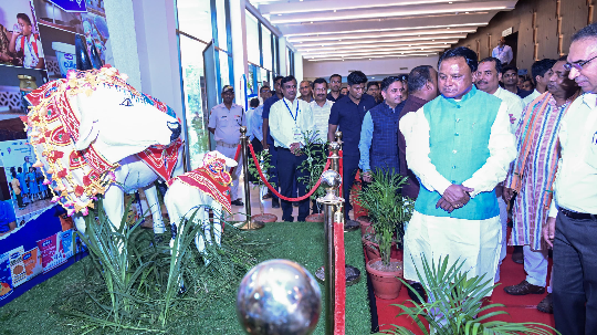 Chief Minister