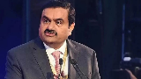 Goutam Adani Business Loss 2025 