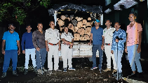 Pickup van Khair wood seized Illegally Transporting