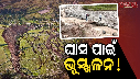 Himachal Pradesh Cloud burst Landslide Cause Grass