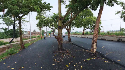 road