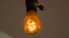 bulb
