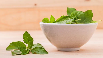 tulsi leave