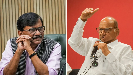Sharad Pawar 