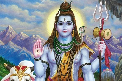 shib ji