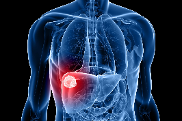 liver