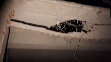 Terrorist hideout turned into a graveyard in the middle of the night; Three including a woman killed in Pakistani shooting