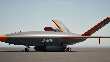 India's killer drone 'Cats Warrior' enters final stages