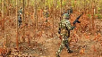 6 Maoists killed in anti-Naxal operation in Chhattisgarh
