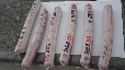 Gelatin sticks and detonators seized from bus stand