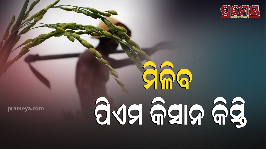 PM-Kisan 20th installment will be available on August 2