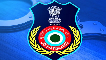 Section Officer 