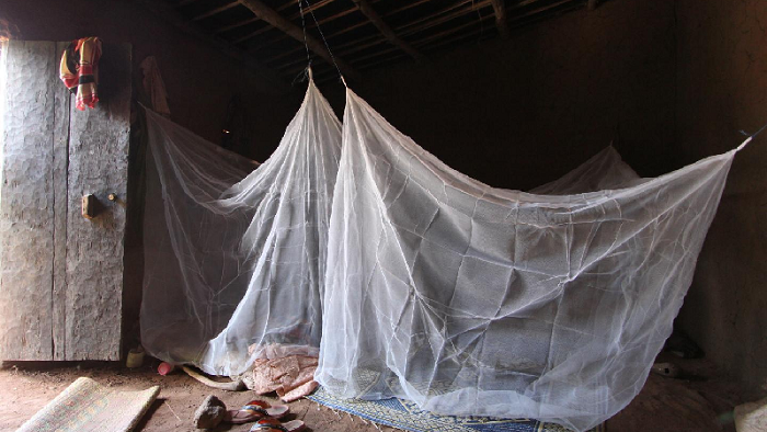 mosquito net