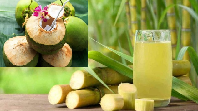 coconut