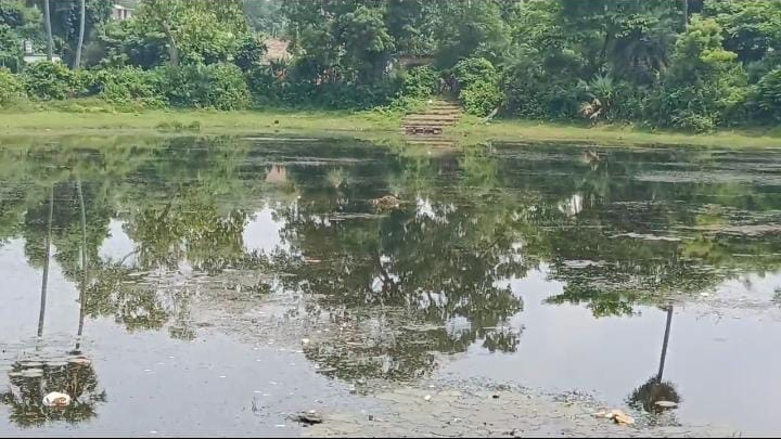 pond
