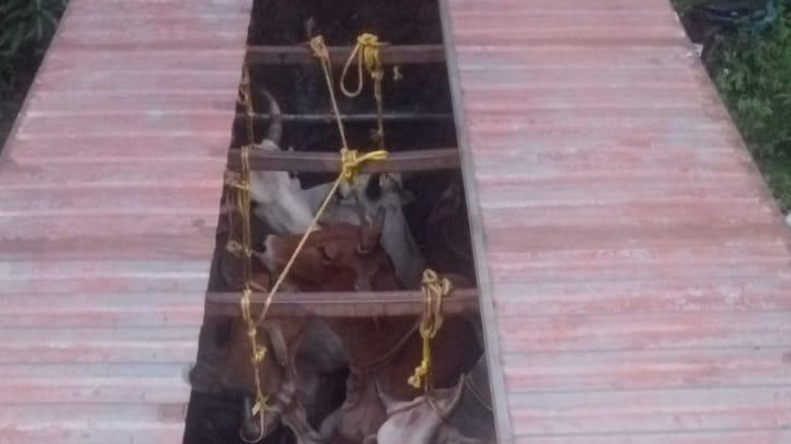 kankadahada