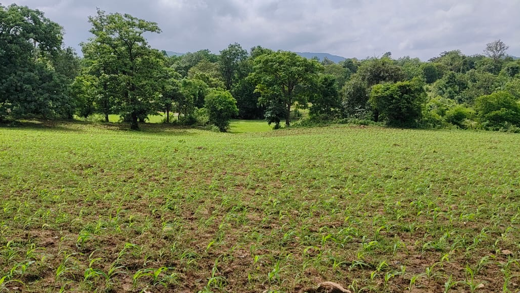 sahajapole
