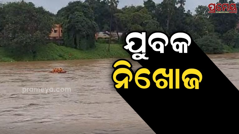 Mahanadi bridge