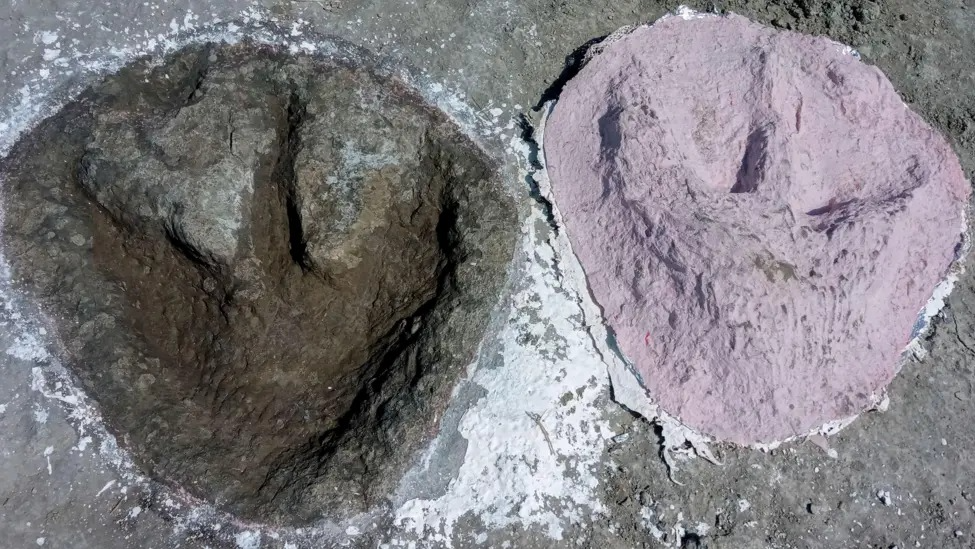 dinosaur footprint 