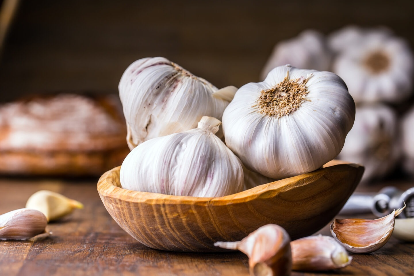 garlic