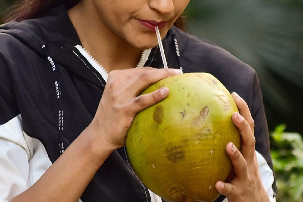 coconut