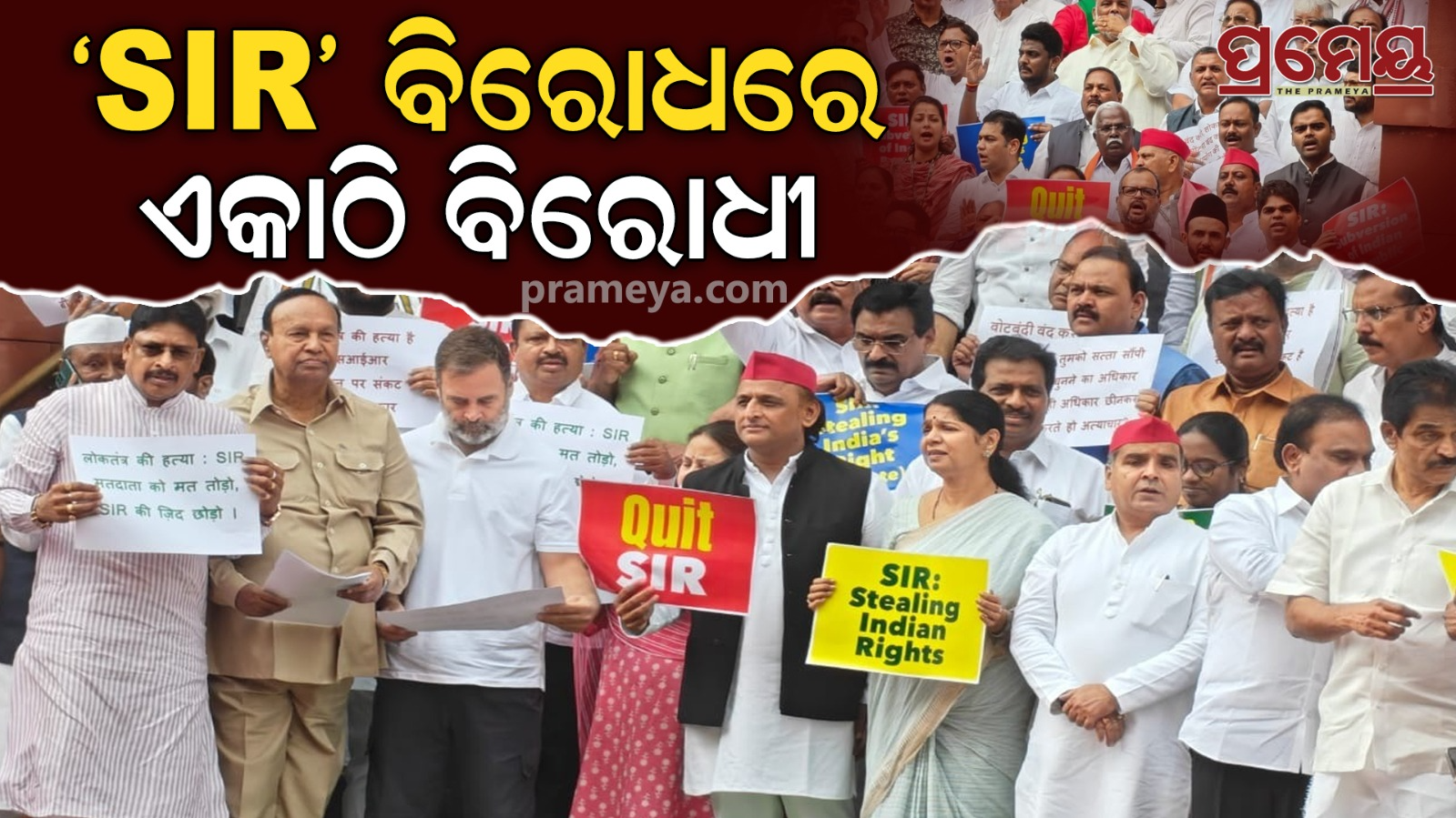 protests against bihar sir at parliament