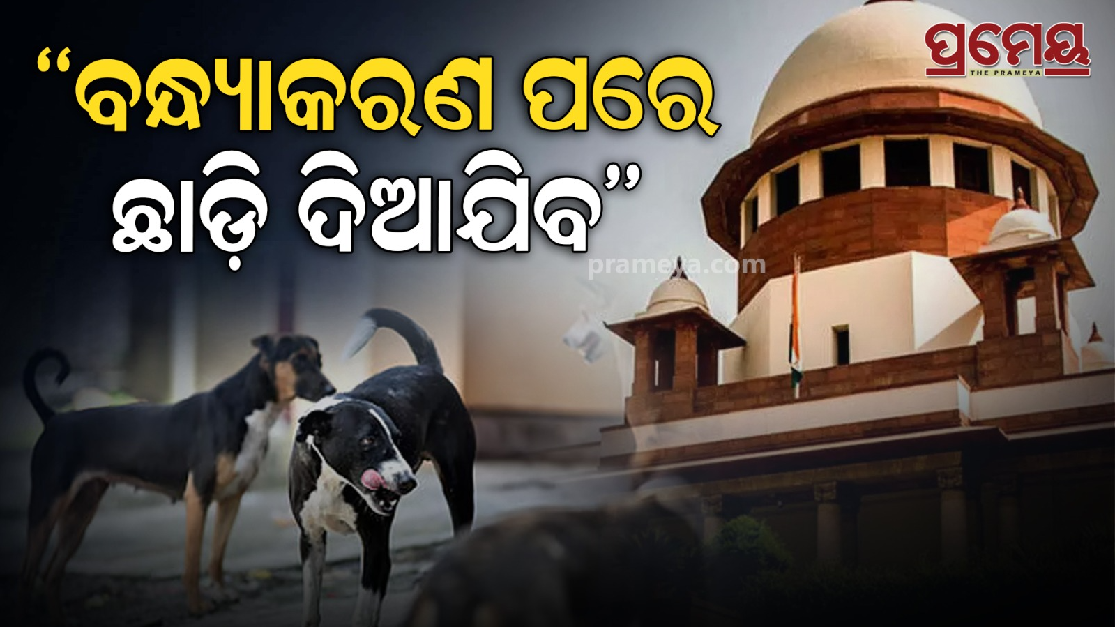 supreme court decision on stray dogs