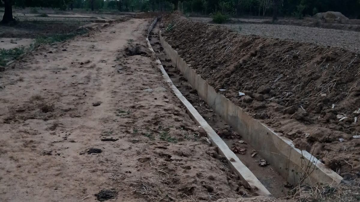Farmers worried... Unrecovered sewage from canal