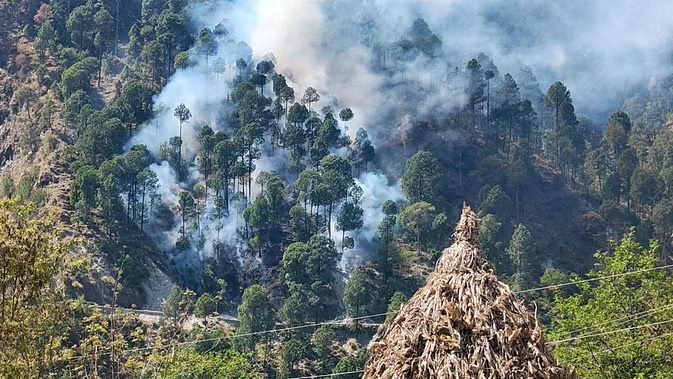 Massive forest fire breaks out in France