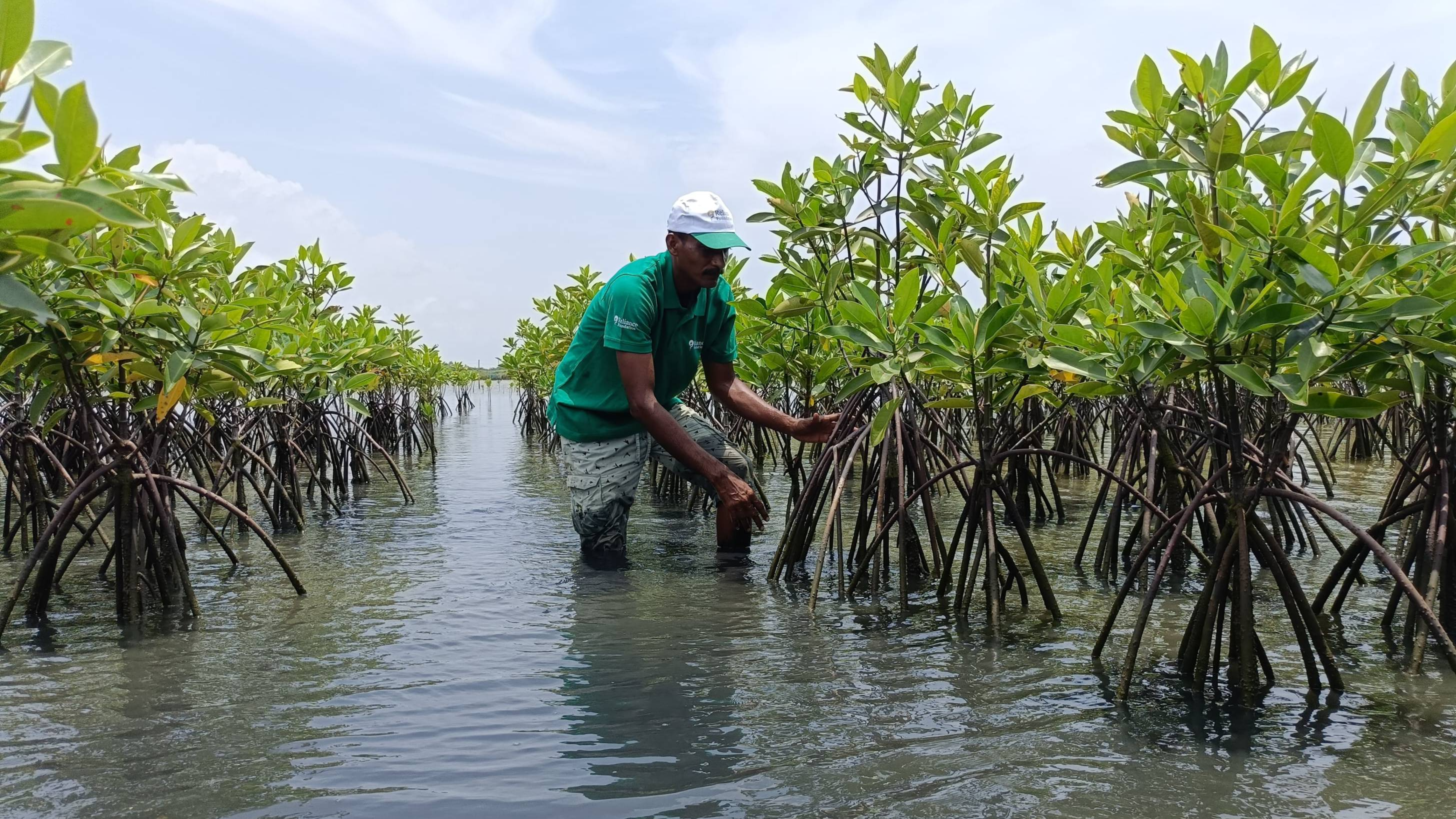 Reliance Foundation organizes Hental plantation