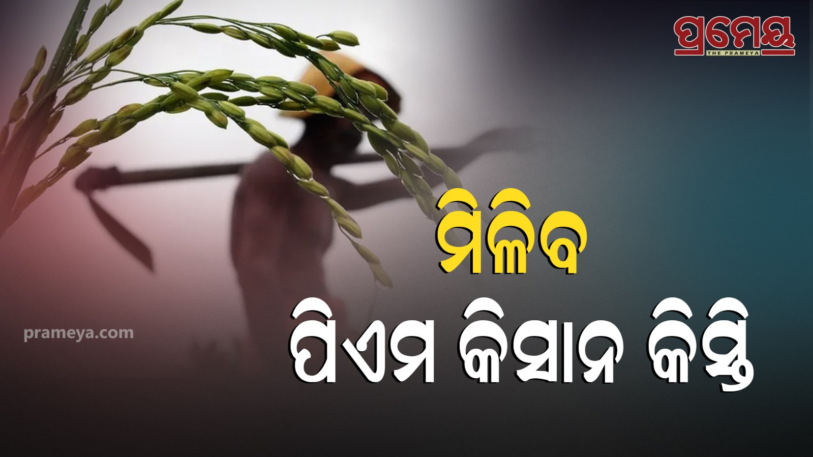 PM-Kisan 20th installment will be available on August 2